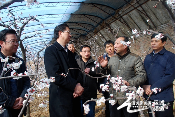 图说运城 黄河新闻网运城频道讯 2016年2月1日,山西省夏县县委书记