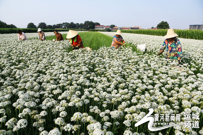 花东gdp_2016中国人均GDP比拼 9省超1万美元 陕位居第13位(2)