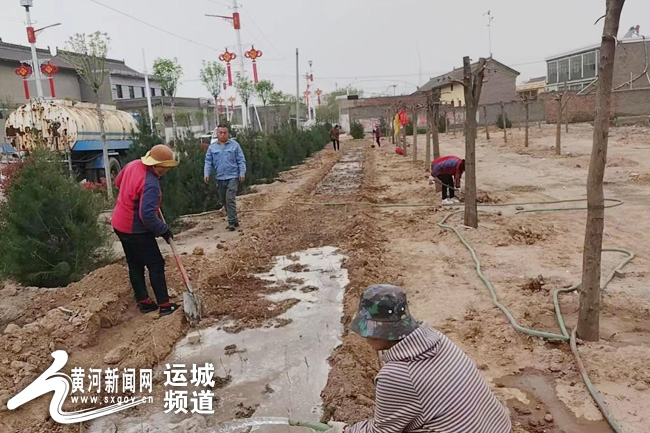 河津市樊村镇东光德村提升绿化品质扮靓乡村底色